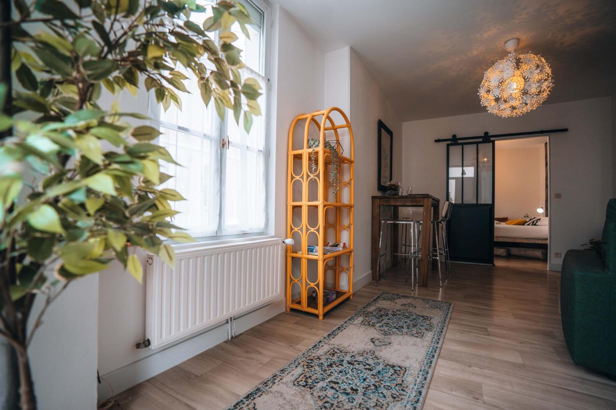 Les Petits Roys - Proche Centre Ville - Cosy Châteauroux Eksteriør billede